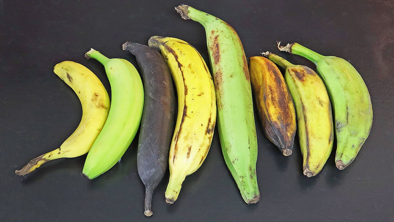 How to eat UNRIPE BANANAS, RAW PLANTAINS & everything in between - Weird Fruit Explorer