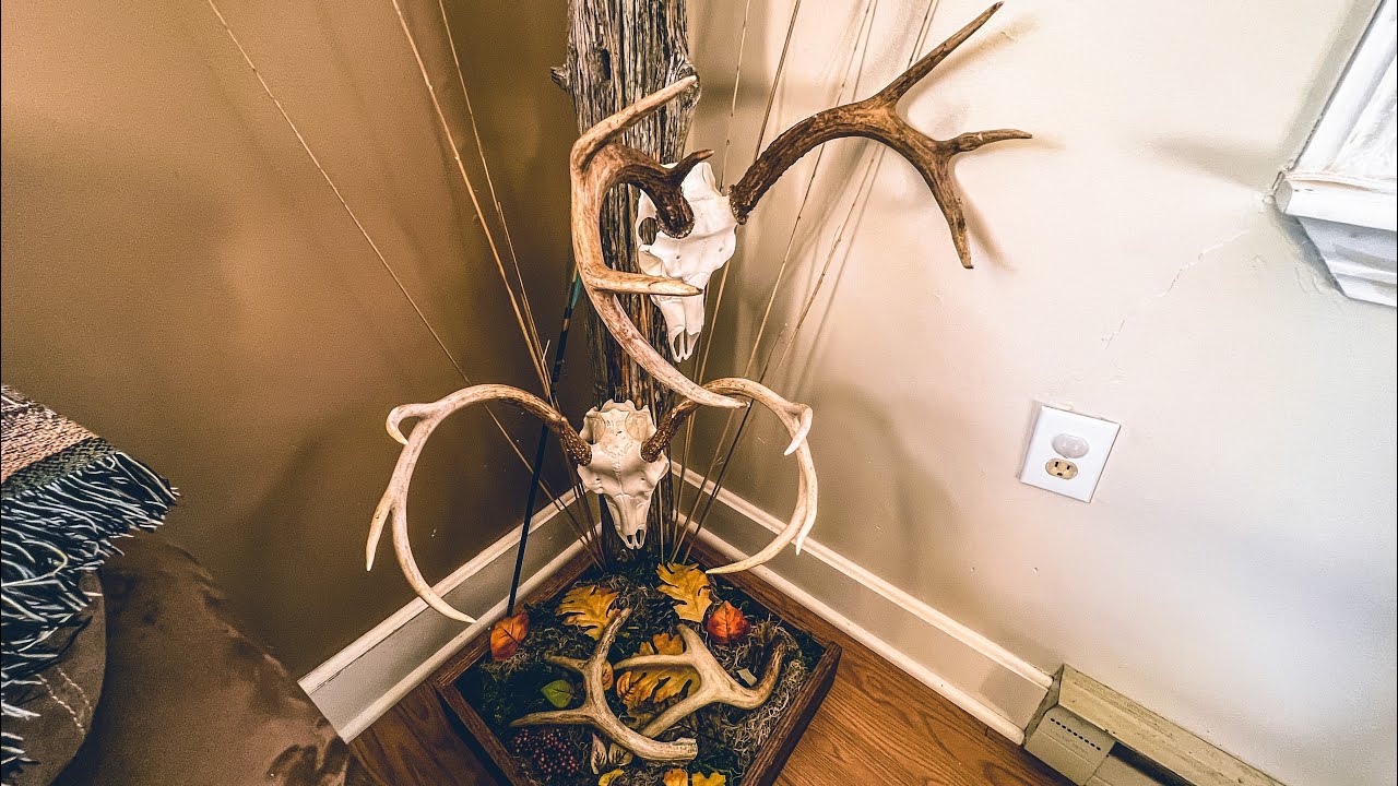How To Make A DIY Euro Mount Display!