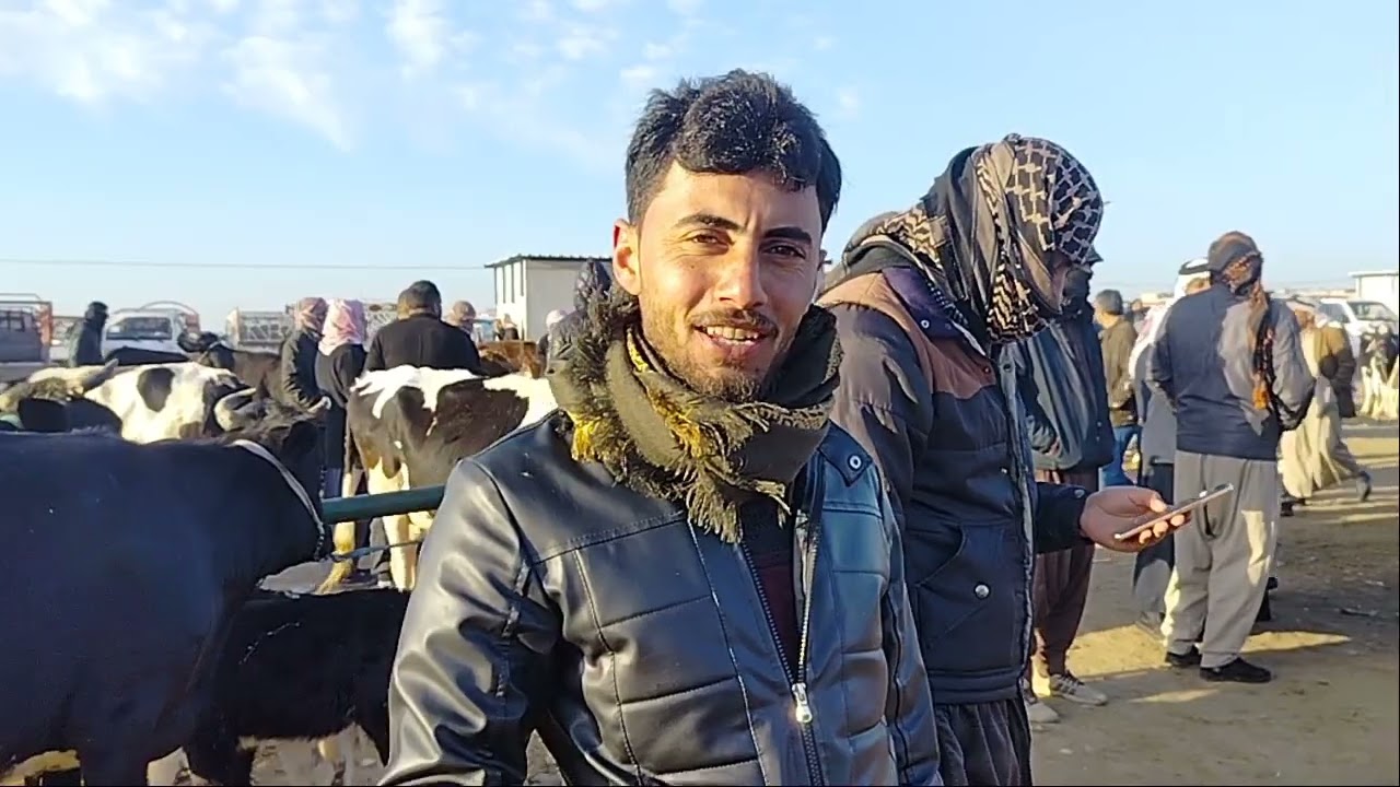 سوق بيع وشراء المواشي في جانب الايمن الموصل دلال سالم 07503325190