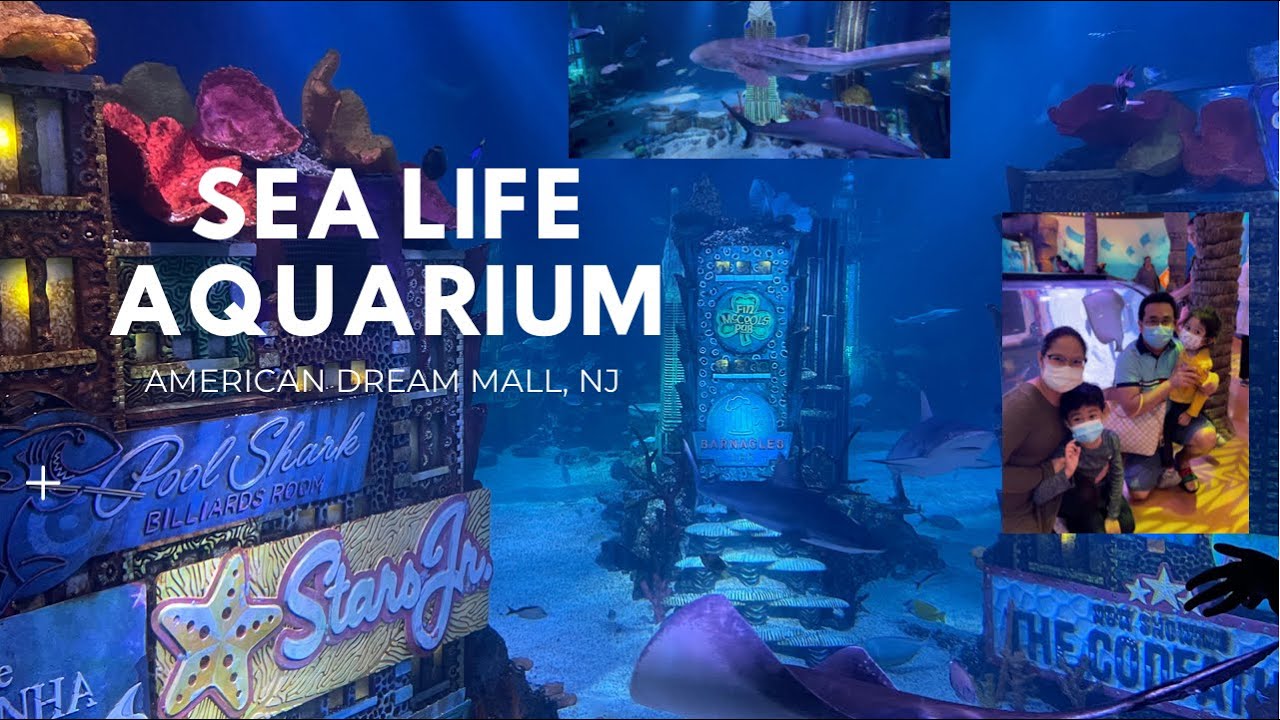 SEA LIFE Aquarium, American Dream Mall, New Jersey - Late post 😁 Oct 2021