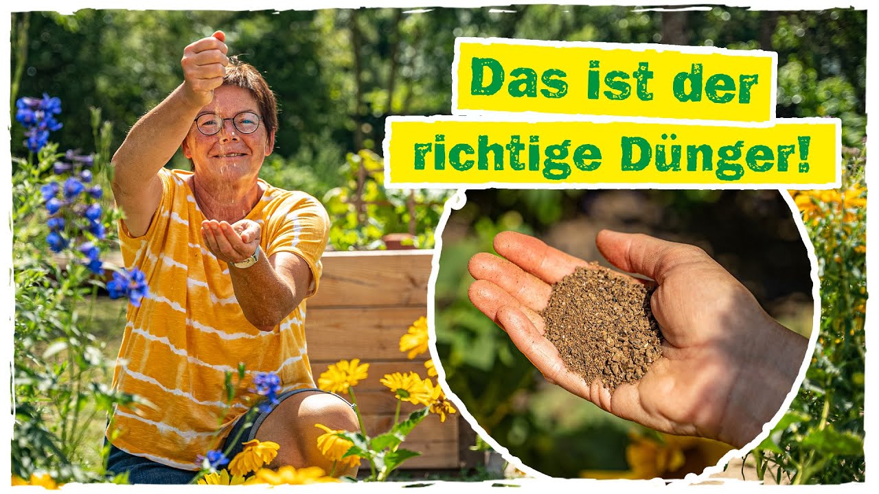 STAUDEN DÜNGEN: So stärkst du deine Stauden optimal 🌻