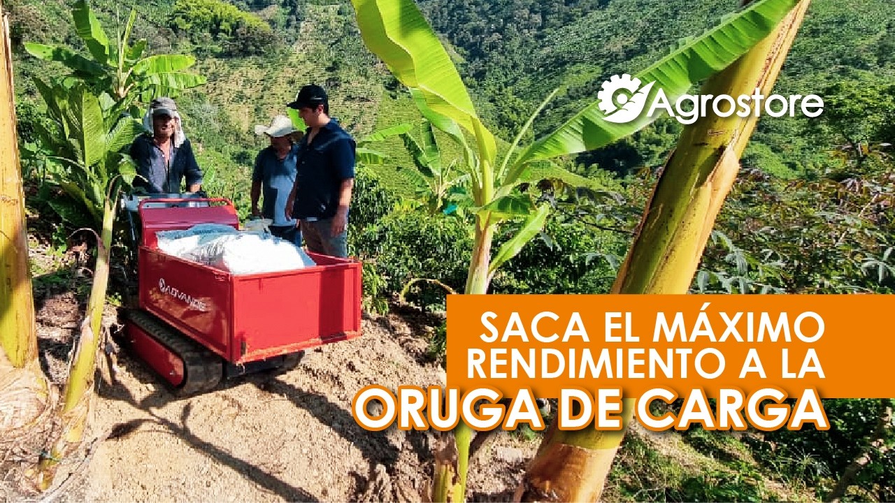Aprende a usar el Transporter u Oruga de carga con Agrostore.