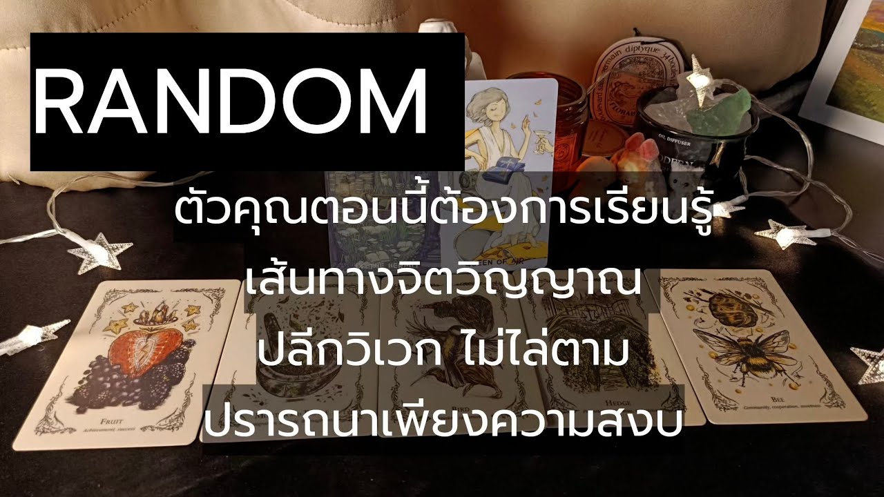 Random 6 | นำส่งสาส์นจากจักรวาล : ตัวคุณตอนนี้ต้องการเรียนรู้เส้นทางจิตวิญญาณ ปลีกวิเวก ไม่ไล่ตาม..