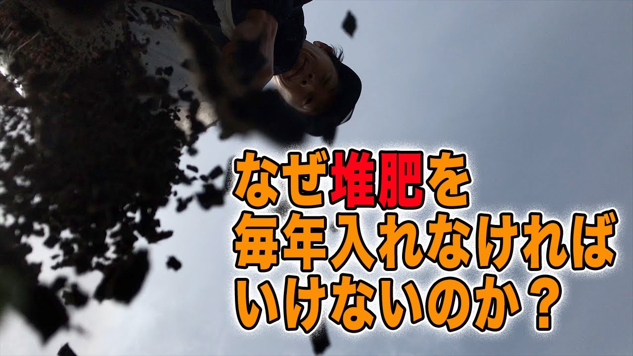 【土作り】堆肥を毎年入れなければいけない理由