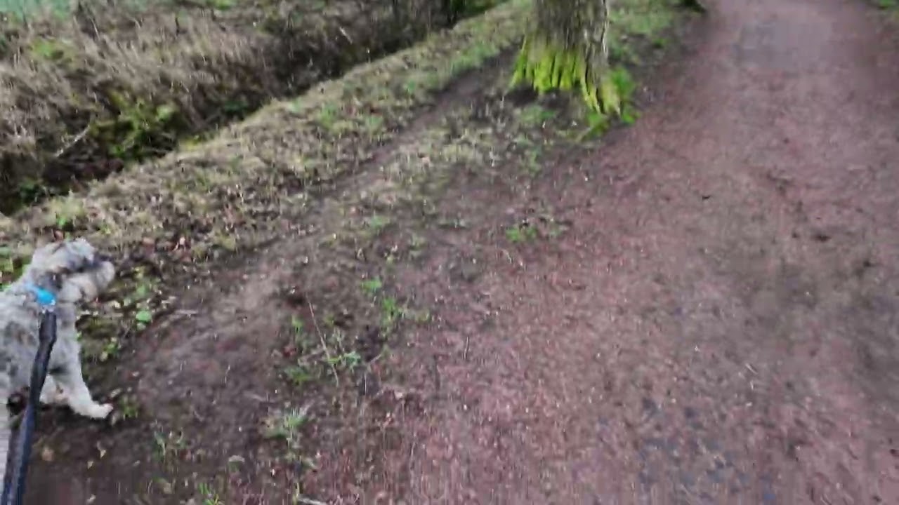 Coaltown of  Balgonie. Ladies walk while the old bridge was still in place. 23rd Dec 25 part 1 of 5