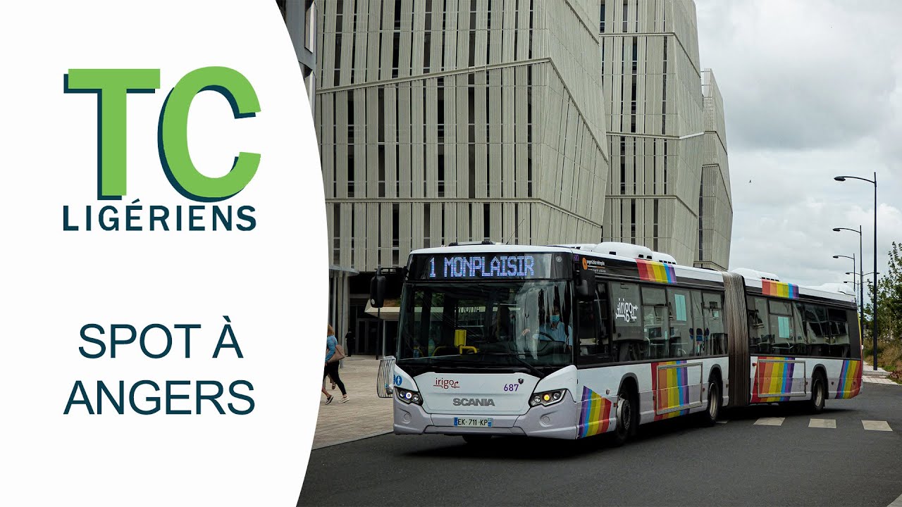 Petit Spot - Passage de bus et tramways à Angers
