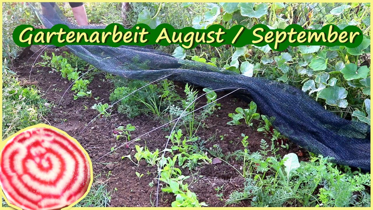 Gartenarbeit August / September Hühner Kaninchen Selbstversorgung