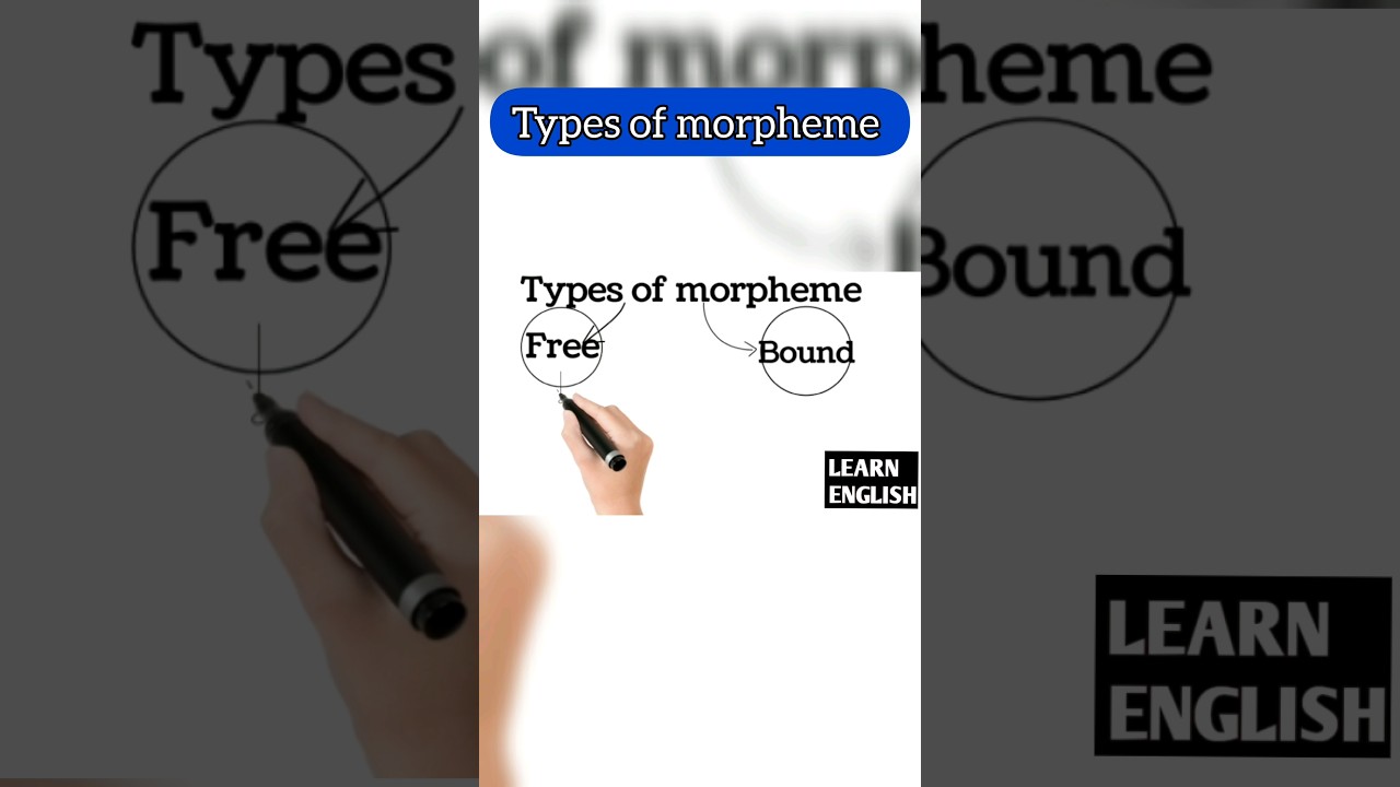 Types of morpheme #morpheme #types #linguistic #englishliterature #youtubeshorts #ytshorts