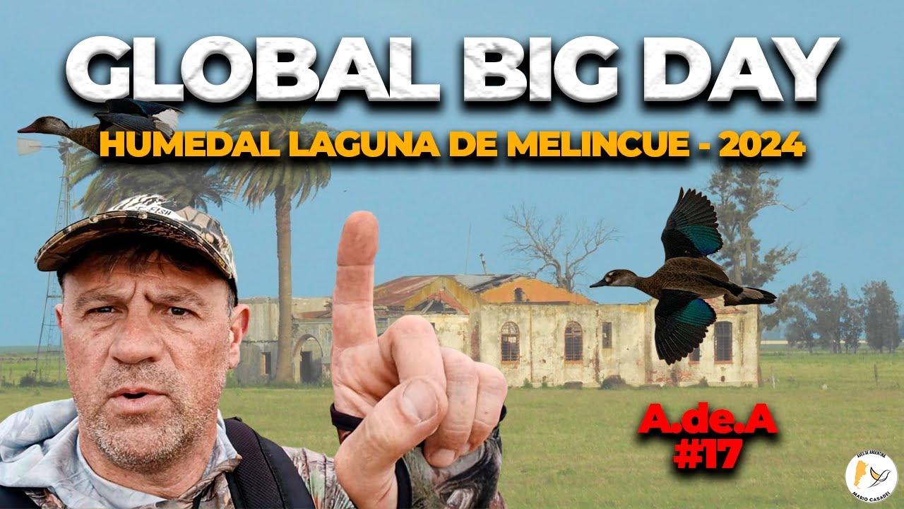 GLOBAL BIG DAY - Humedal MELINCUE 2024