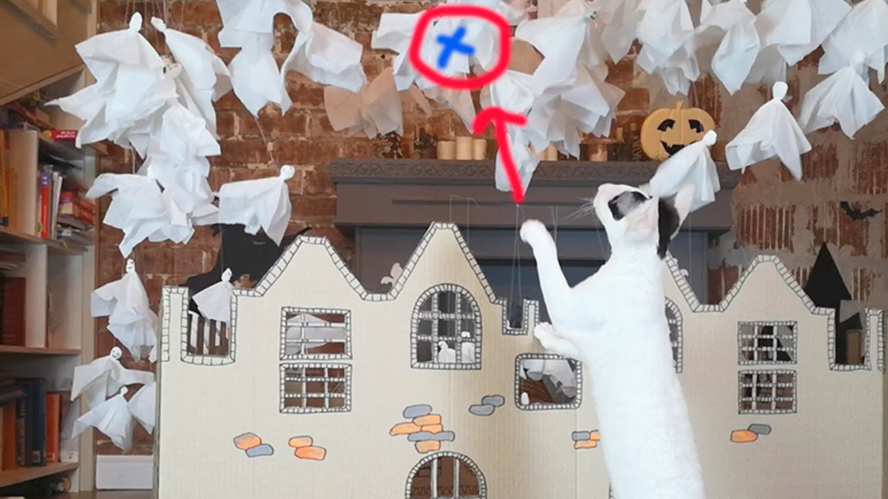 Cats vs Ghosts