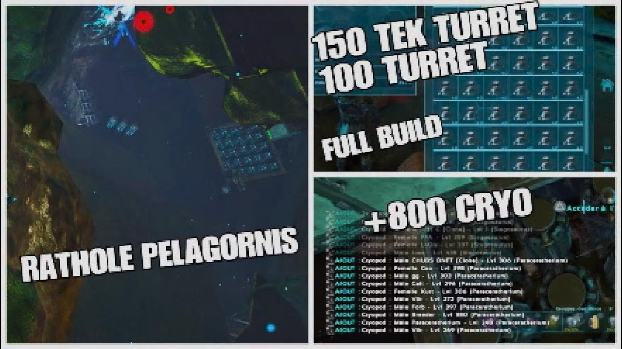 Ark//Official//PvP//PS5//SHOPPING ON RATHOLE PELAGORNIS SERVER 1368