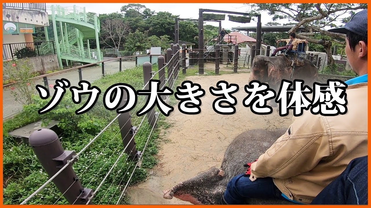 Ride an Asian Elephant ゾウさんライド　沖縄こどもの国