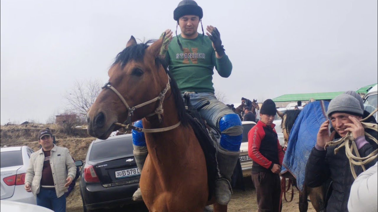 URGUT  MO'MNABOT KO'PKARISI 26.01.2026