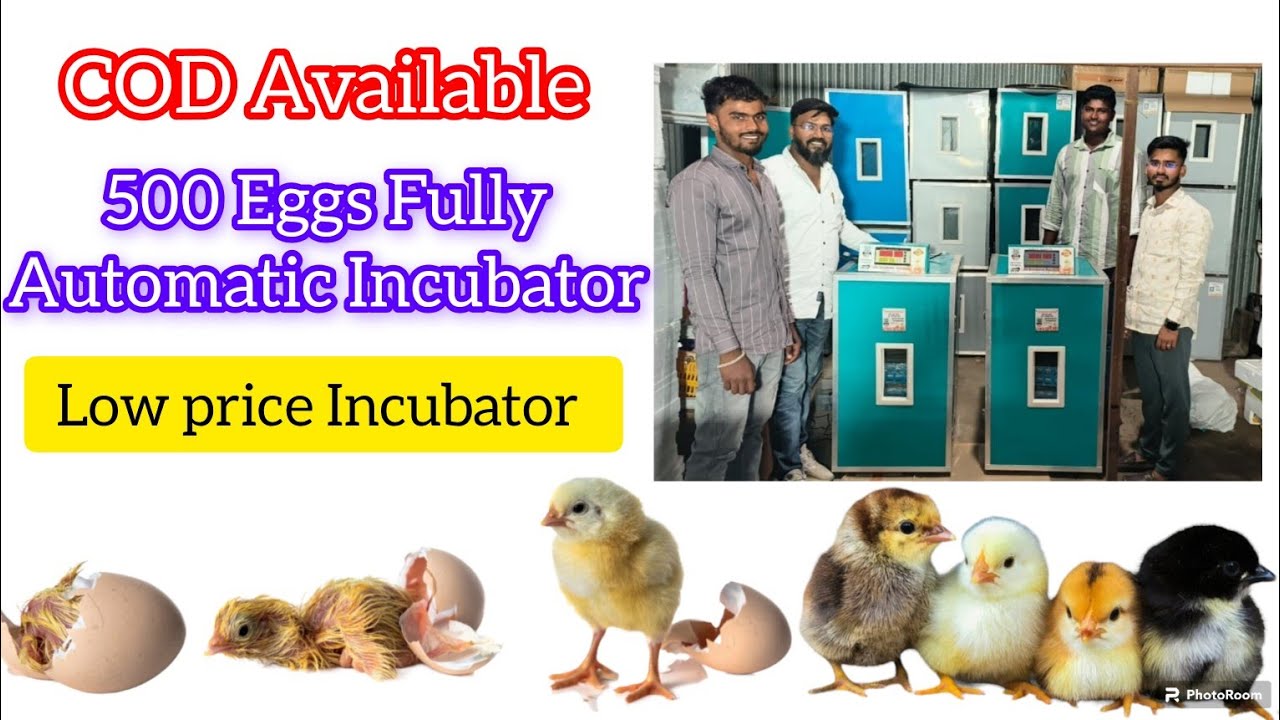 500 Eggs Incubator Fully Automatic Metal Body low price best Incubator best hatching model