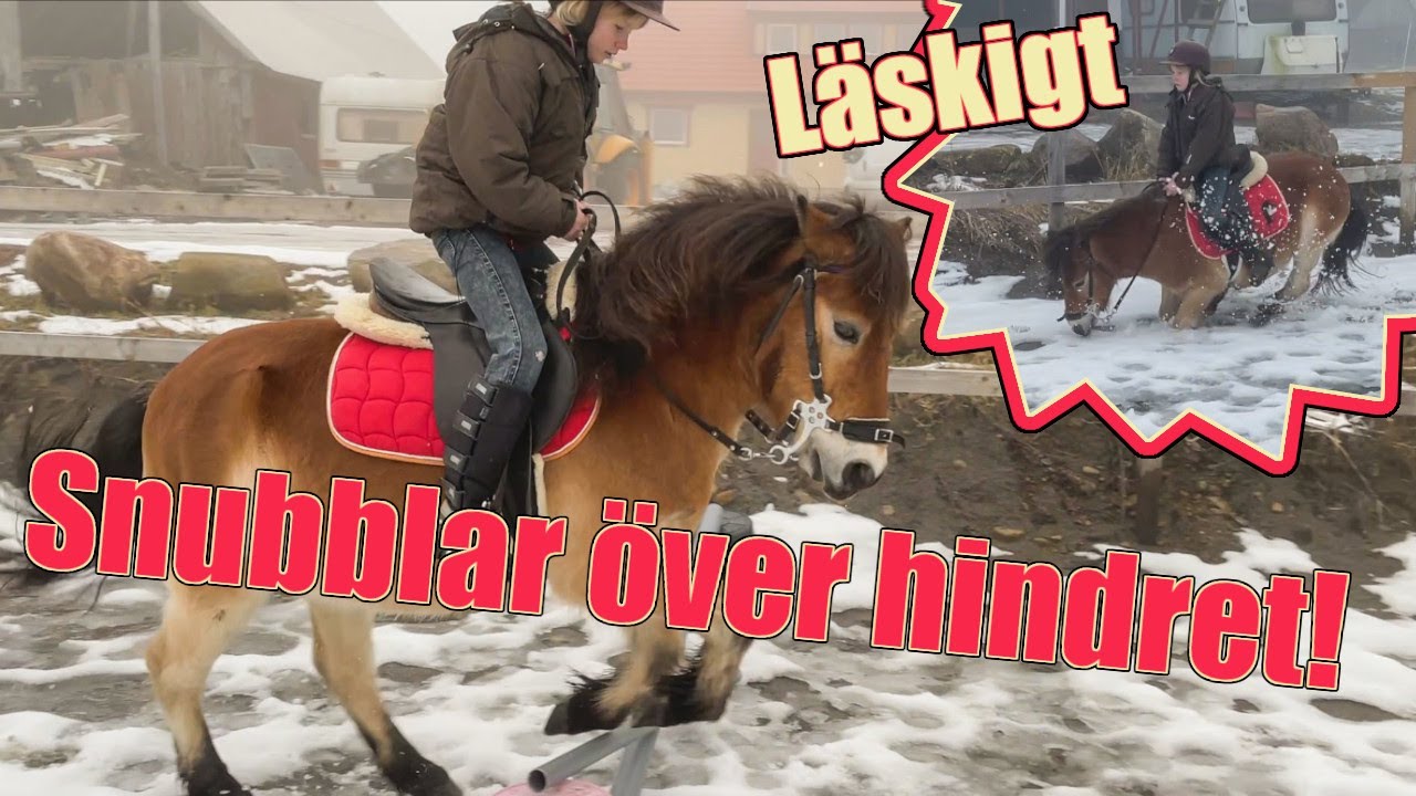 Kalle går OMKULL || Hoppar hinder || Millan lär sig rida - Del 13