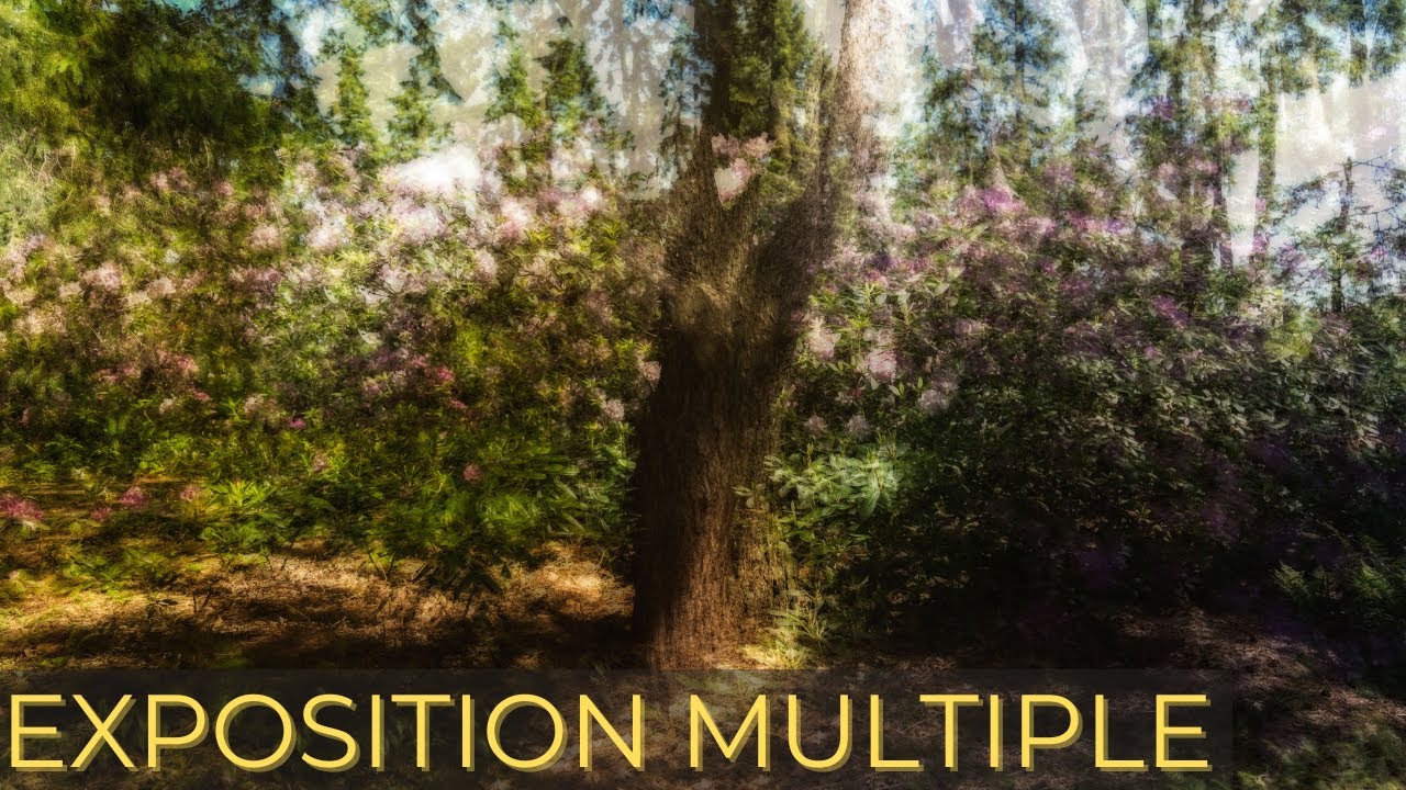 L'exposition multiple CRÉATIVE: osez la technique PEP VENTOSA!