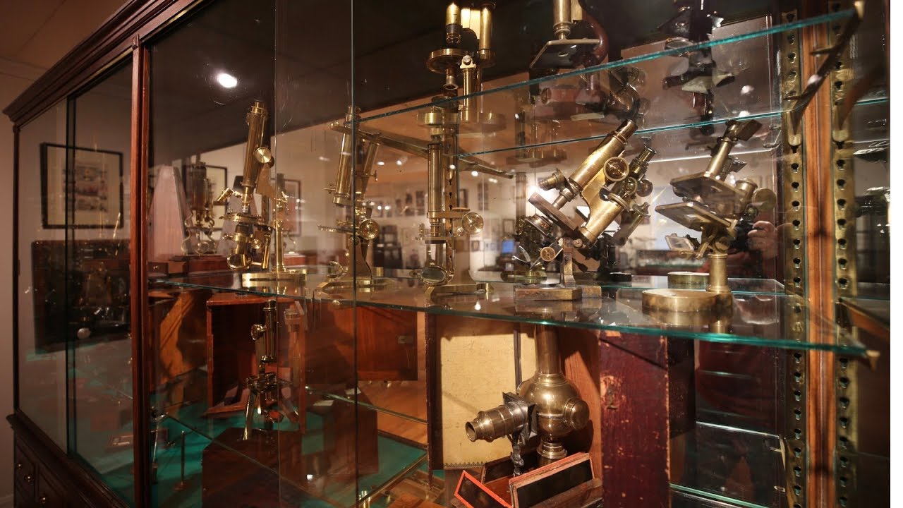 Microscope Gallery
