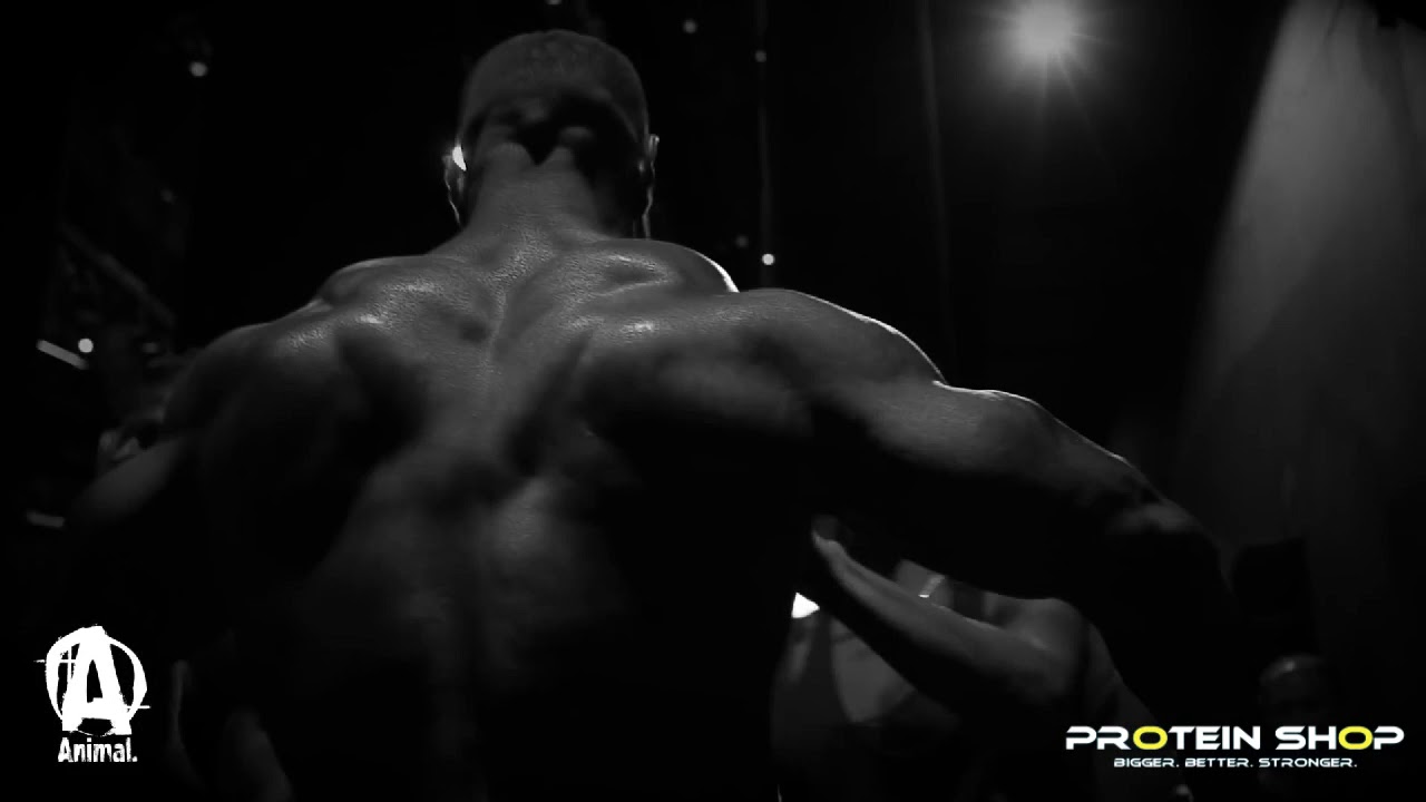 Animal Whey - PROTEIN SHOP