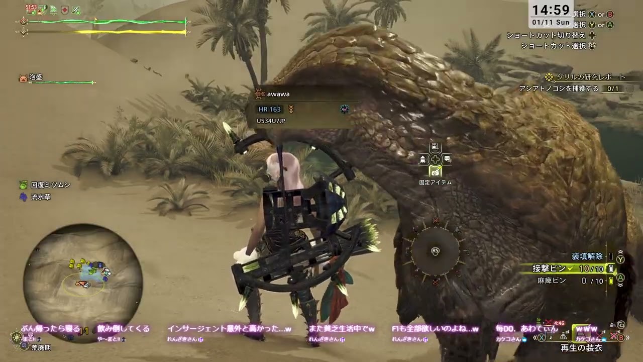 MONSTER HUNTER Wilds #29 新人まぐれハンターあわわ(強くなりたいな）