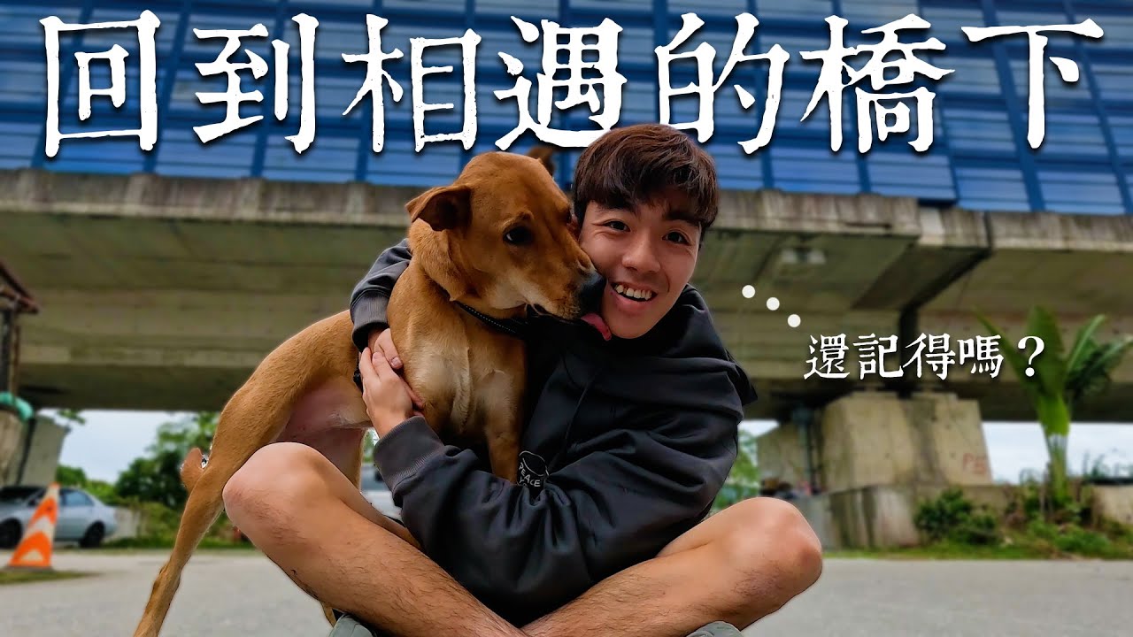 太陽環島EP.2 | 撿到太陽的橋下，竟發現還有其他兄弟姊妹？！
