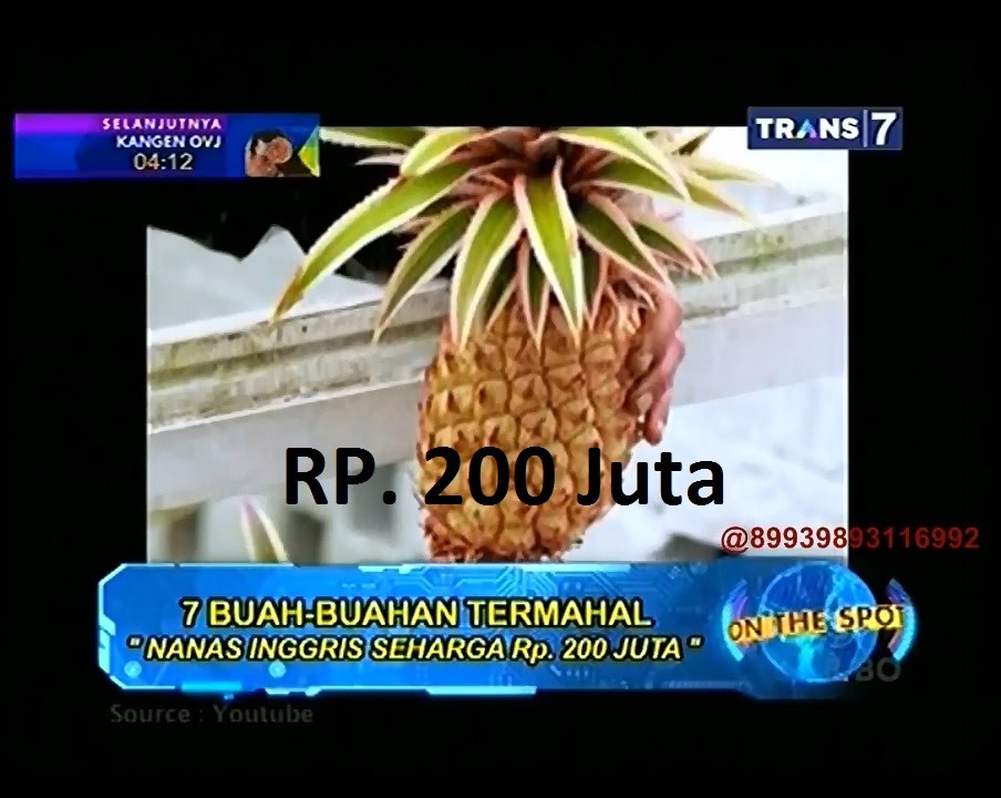 On The Spot - 7 Buah-Buahan Termahal