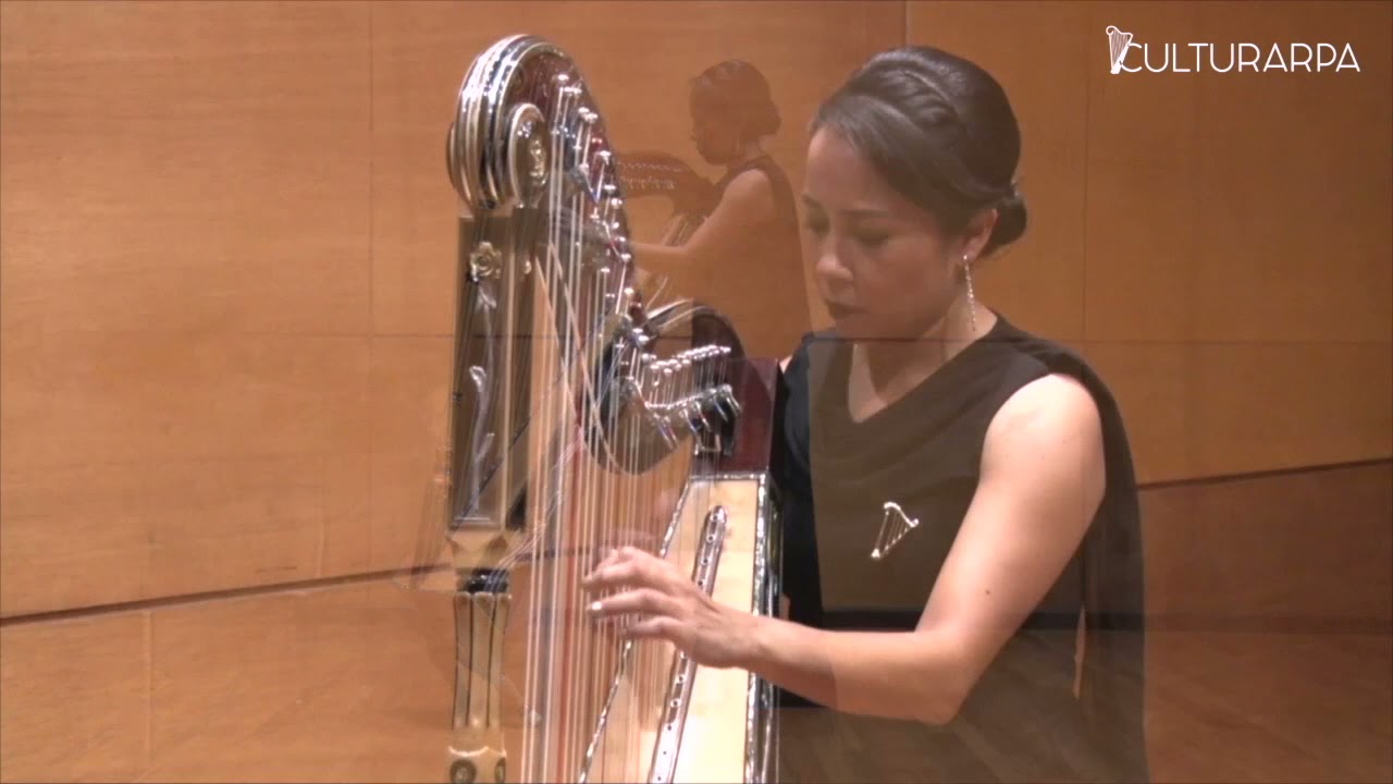 Nocturno Jarocho   COLORES DEL ARPA   HD 720p