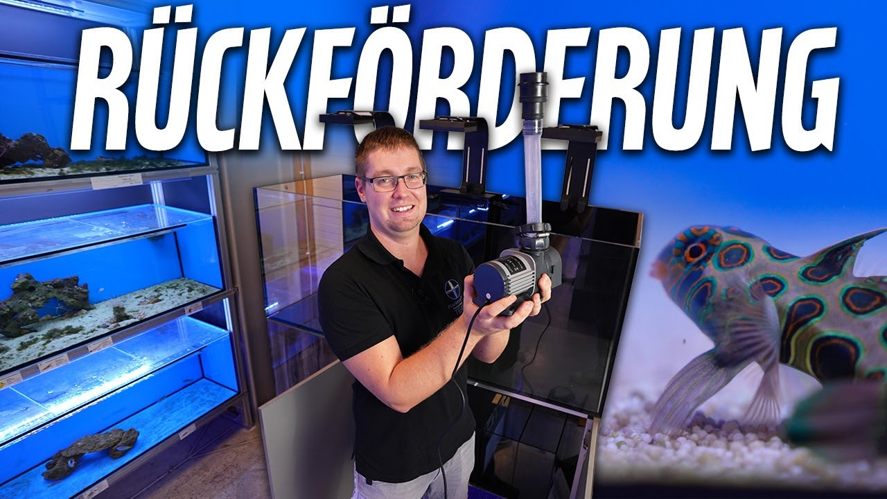 RÜCKFÖRDERUNG für mein MEERWASSERAQUARIUM - Anfängerbecken mit PlanktonPlus Aquaristik