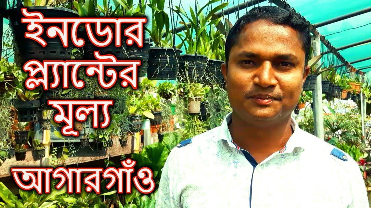Indoor Plants Price In Sabuj Bangla Nursery | ইনডোর প্ল্যান্টের মূল্য | Gardening Bangladesh