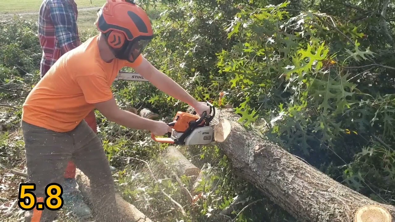 STIHL MS250 