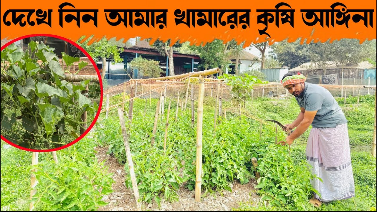 ২০৩ -  দেখে নিন আমার খামারের কৃষি আঙ্গিনা