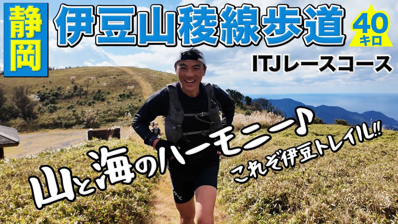 ［トレランコース］一度は走ってみたいトレイル！伊豆半島を北上しながらランニング（伊豆山稜線歩道）