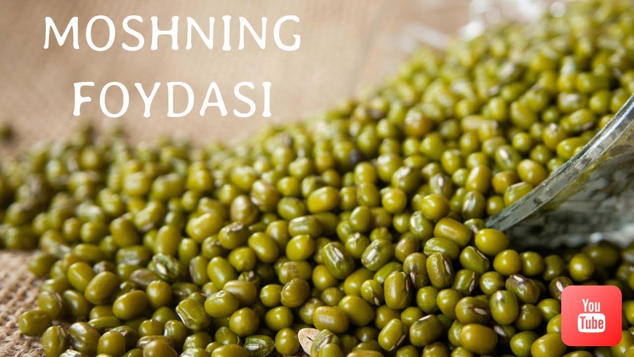 Mosh va uning foydasi