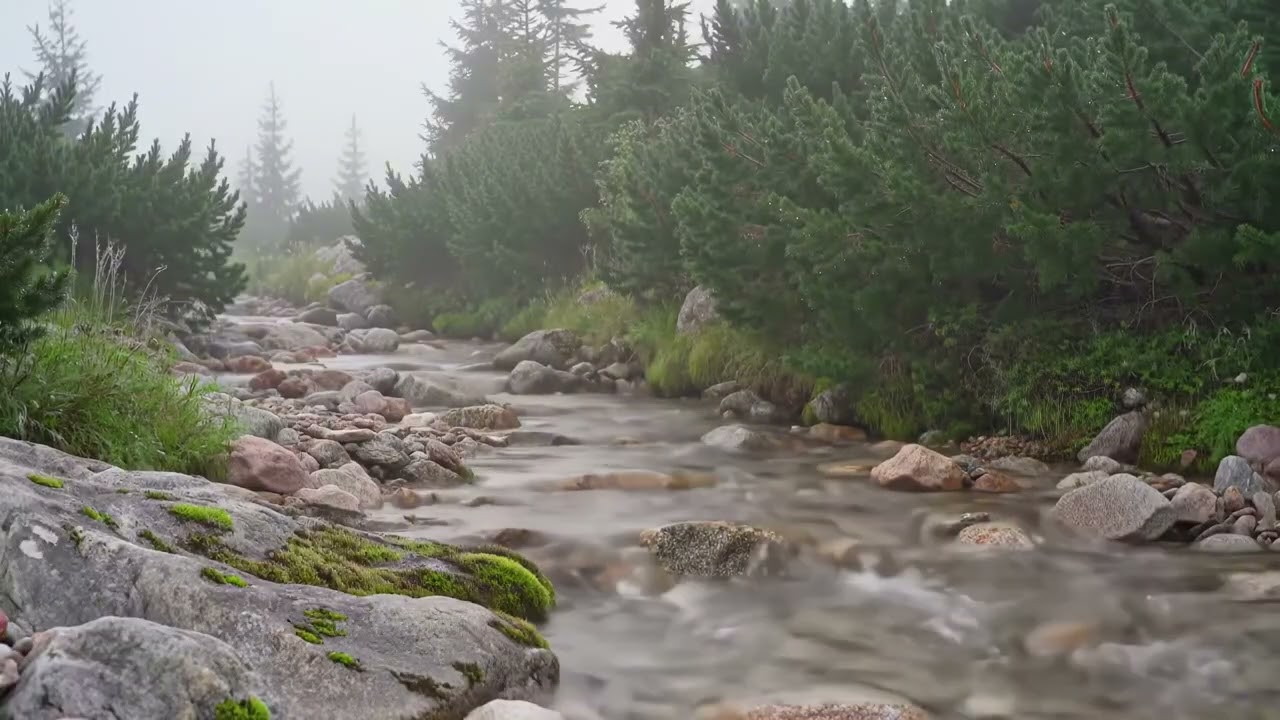 Relaxing Peaceful Mountain Water Flow ⛰️ | Relaxing Nature Sounds for Sleep