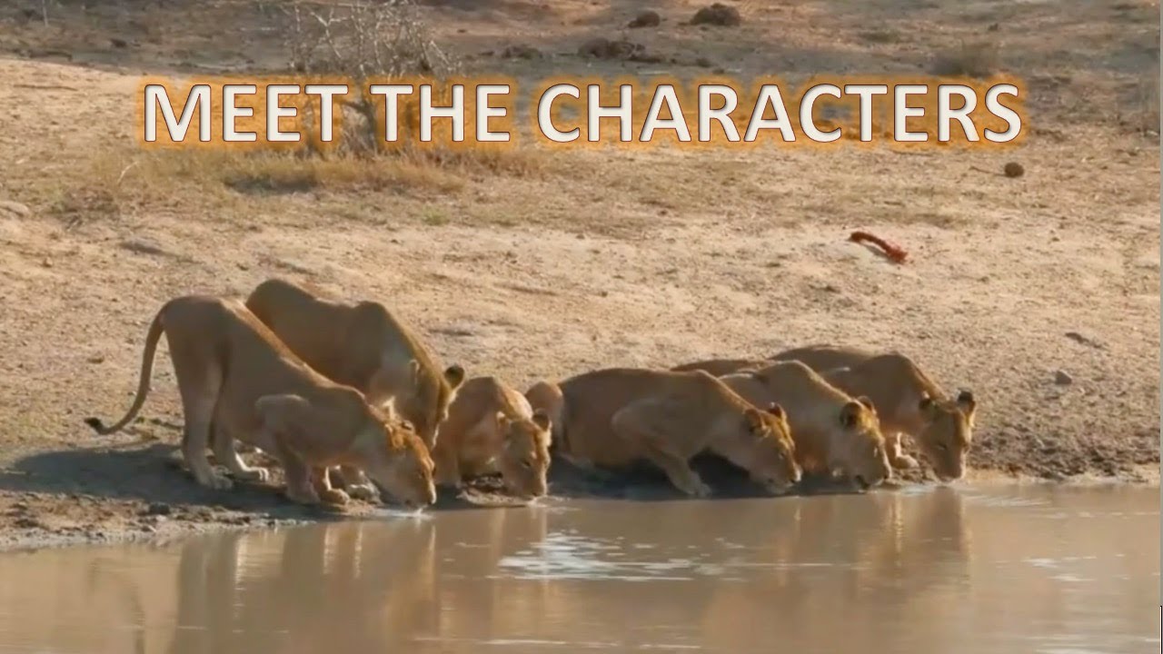 INTRODUCTION OF THE NKUHUMA PRIDE