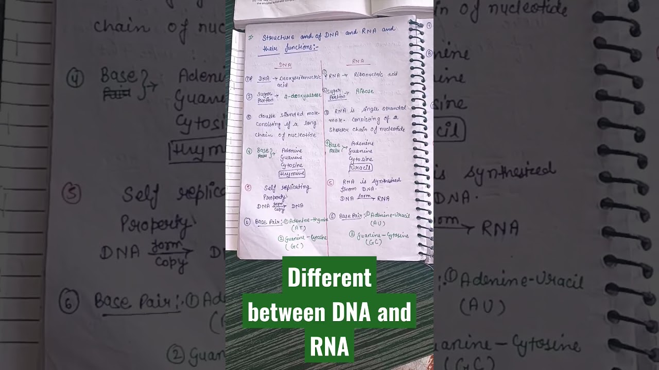 Difference between DNA and RNA