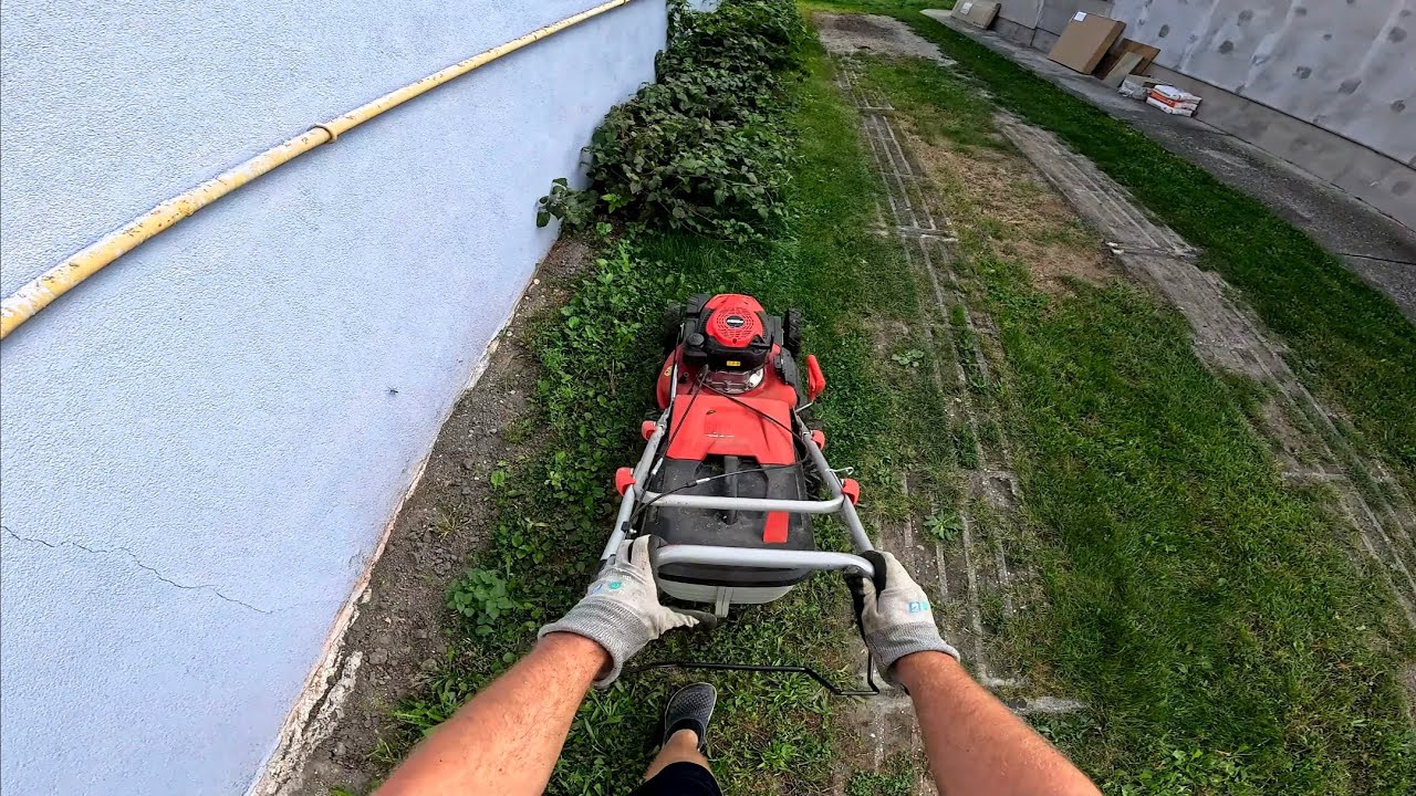 Evening Lawn Mowing Before Leaving – No More Jungle!