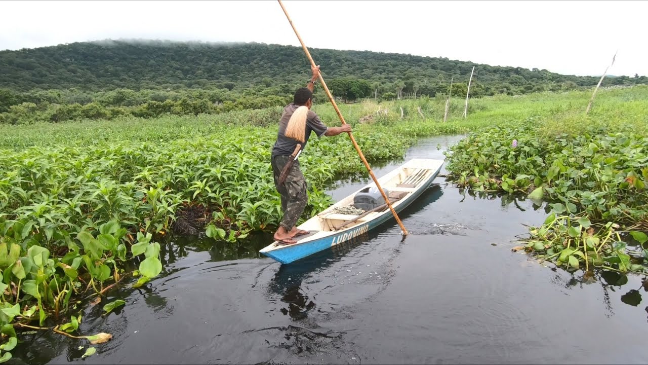 Não é fácil a vida de um ribeirinho no pantanal