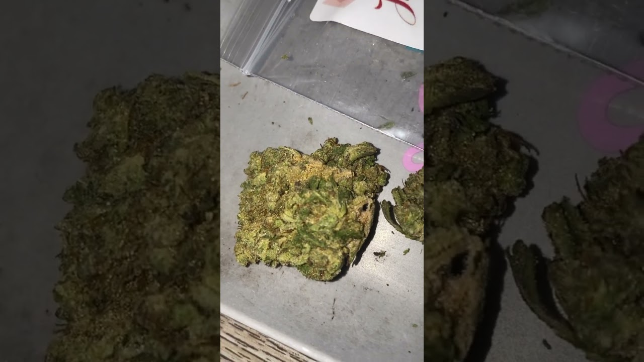 THCA GARY PAYTON