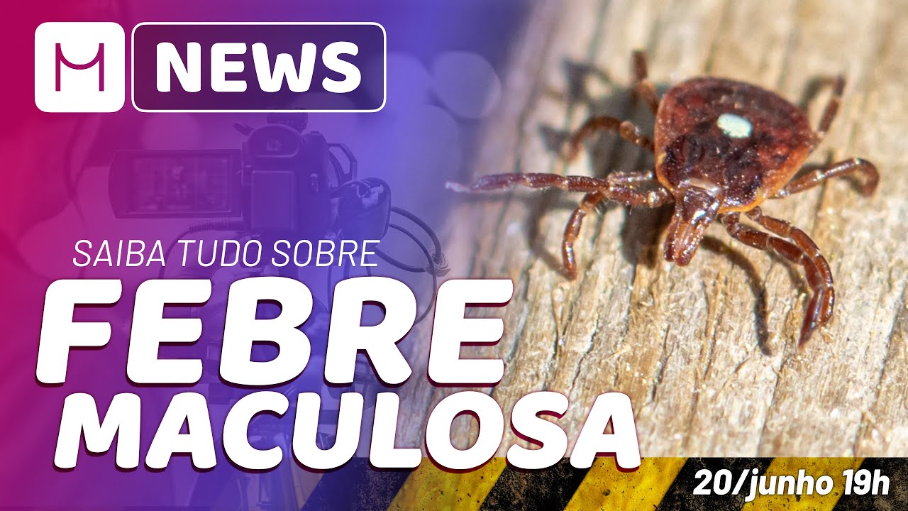 Medcel News: Febre Maculosa | Tudo o que você precisa saber