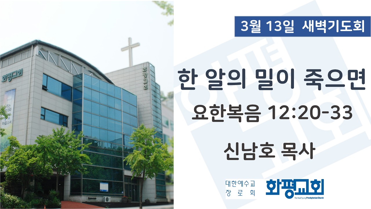 2026.03.13. 새벽기도회 신남호 목사 - 한 알의 밀이 죽으면 (요 12:20-33)