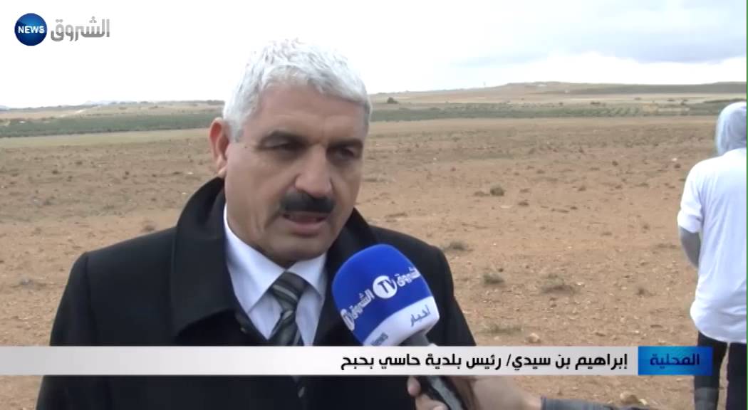الجلفة: إنتاج يفوق 500 ألف لتر من زيت الزيتون سنويا