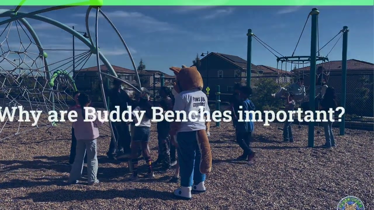 ACE Buddy Benches