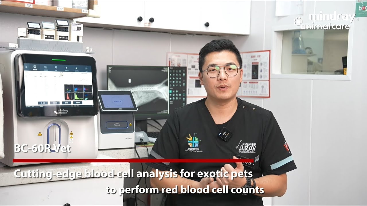 vetXpert Comprehensive Lab Solution Empowers Exotic Pet Diagnostics
