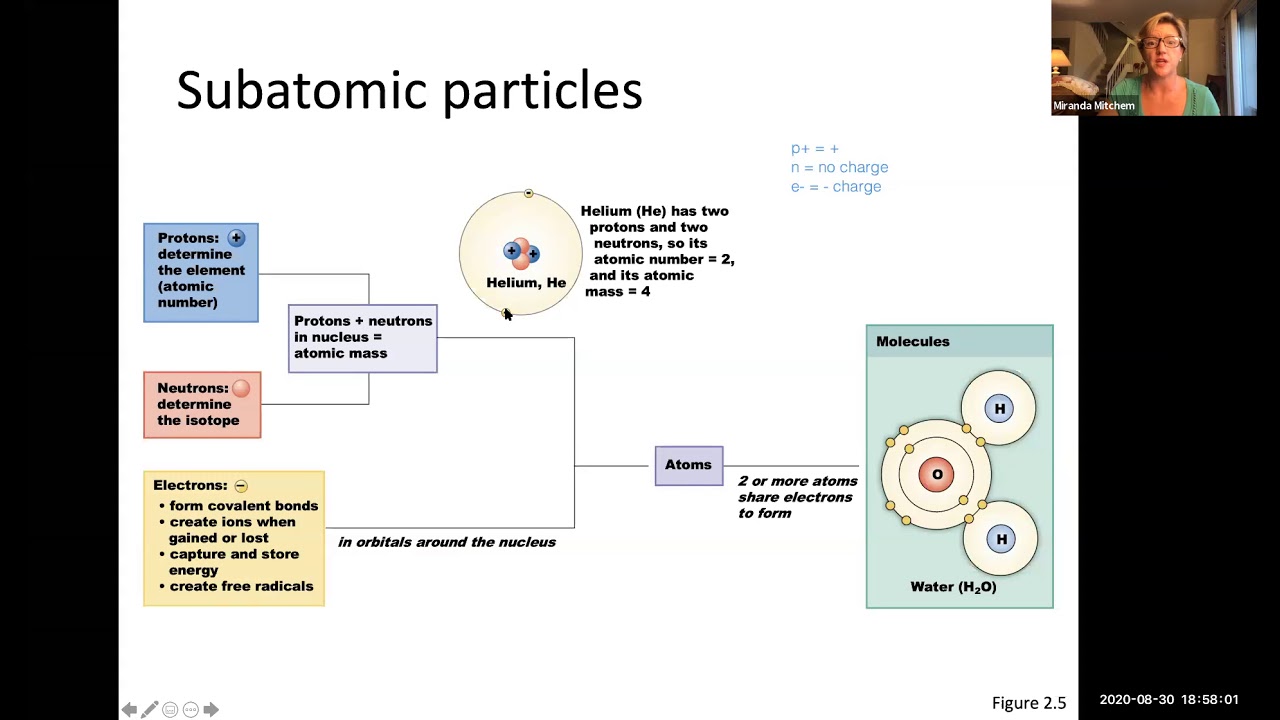 Physiology_Chapter 2_Part 1