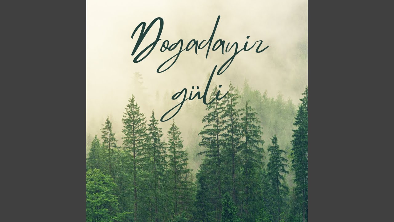 Şelale (feat. Salih Yılmaz)