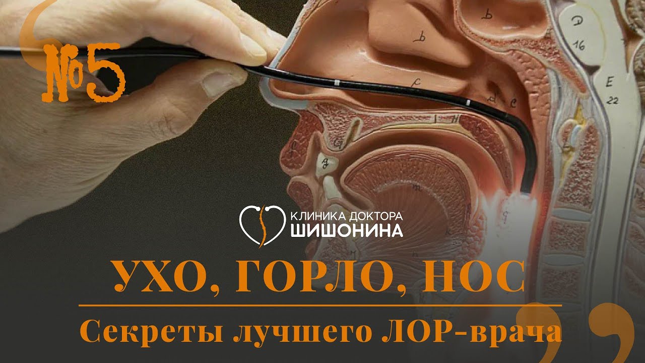 Шум в ушах, гайморит и ковид. Секреты лучшего ЛОР-врача и самый сопливый выпуск 
