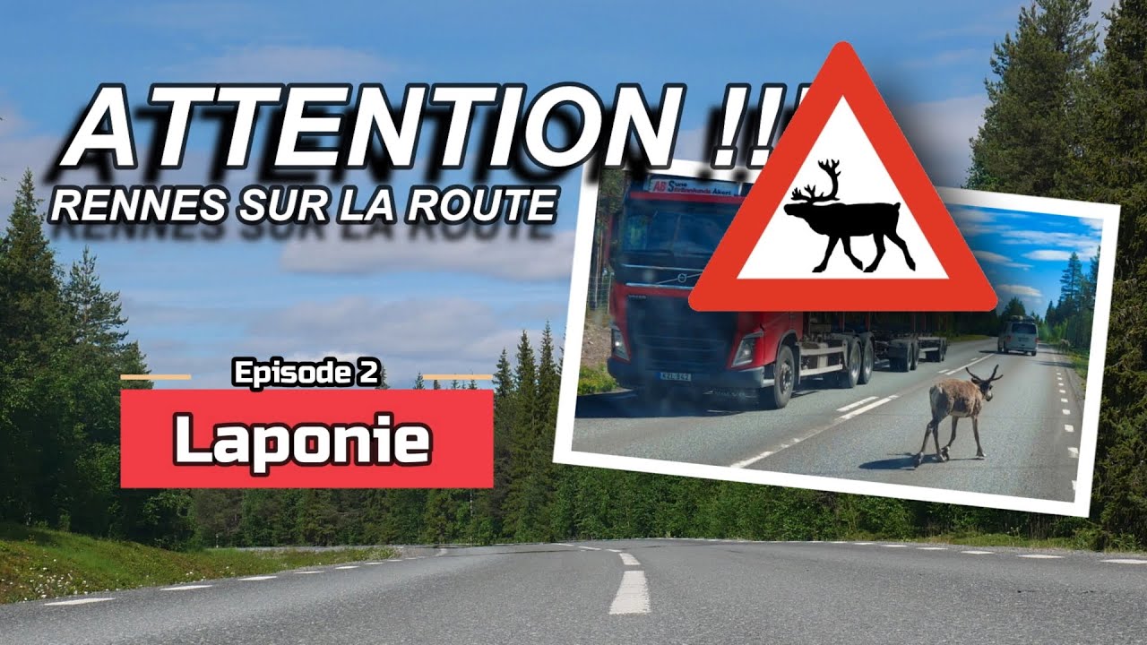 #2 Laponie suédoise  - Rennes - Route E45 - Road Trip en Scandinavie