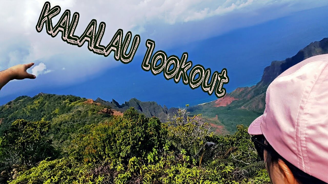 KAUAI Island tour 02 (Kalalau lookout)