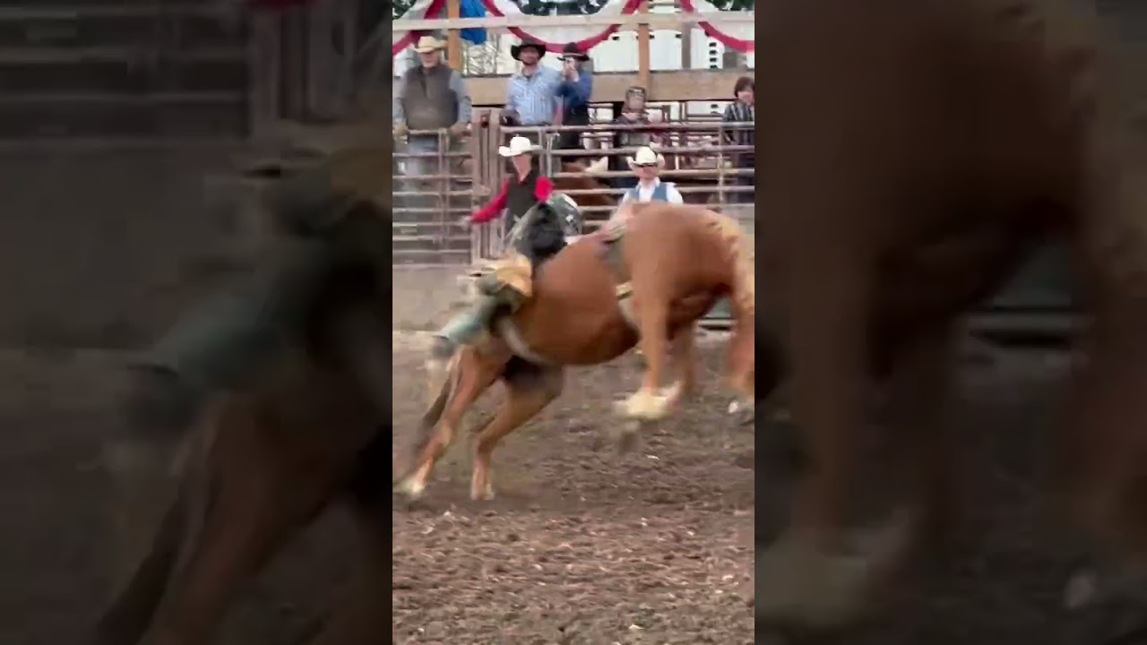 Folded #fullsend #cowboys #cowboylife #cowboylifestyle #rodeo