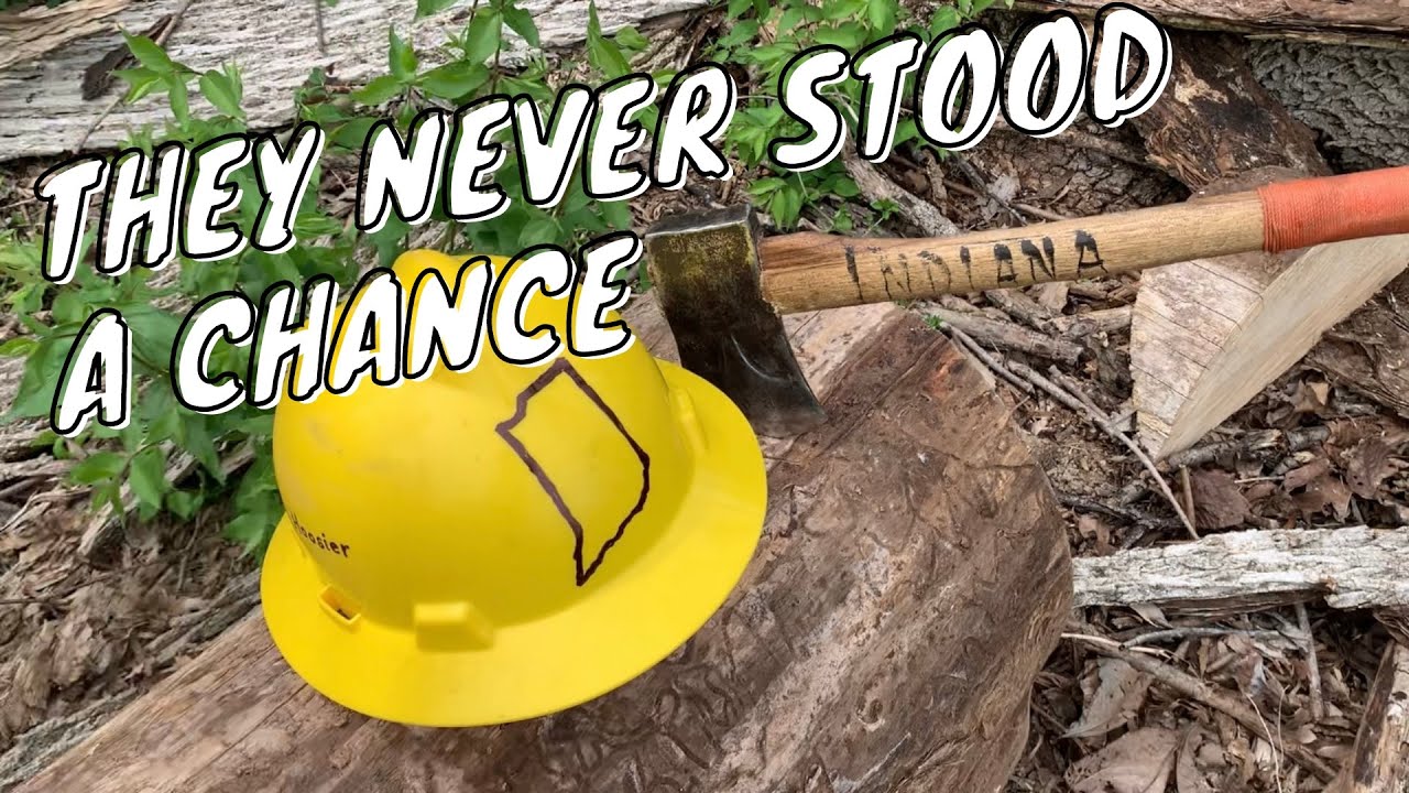 Dropping DANGEROUS Ash Trees!